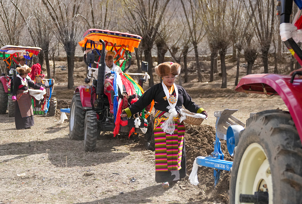 3月16日，西藏山南市结巴乡结巴村村民身着盛装，在新犁开的田地上播撒种子。