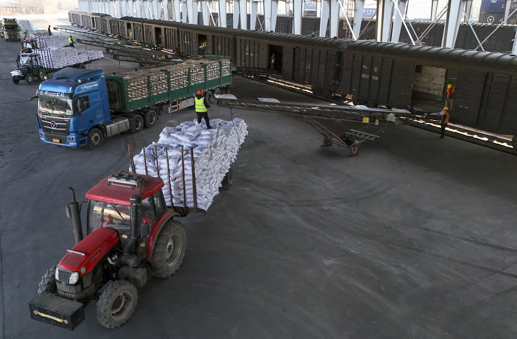 3月17日，工人在位於綏化市的哈爾濱鐵路物流中心綏化營業部農資裝卸作業現場卸化肥（無人機照片）。