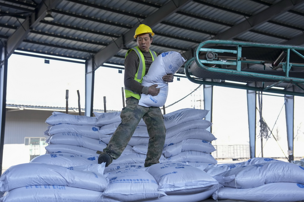3月17日，工人在位于绥化市的哈尔滨铁路物流中心绥化营业部农资装卸作业现场卸化肥。