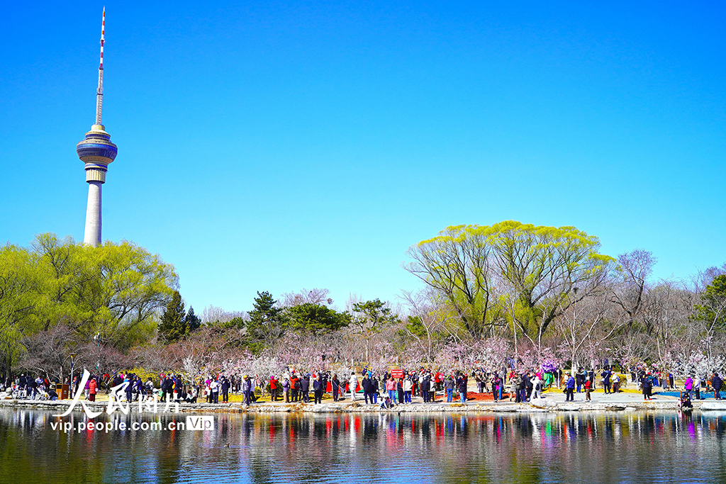 北京：玉渊潭樱花季开启赏春盛宴【6】