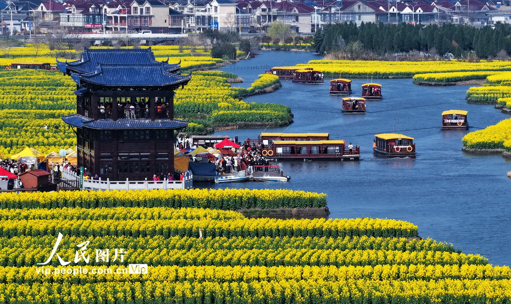 江苏兴化：千垛景区油菜花绽放【2】