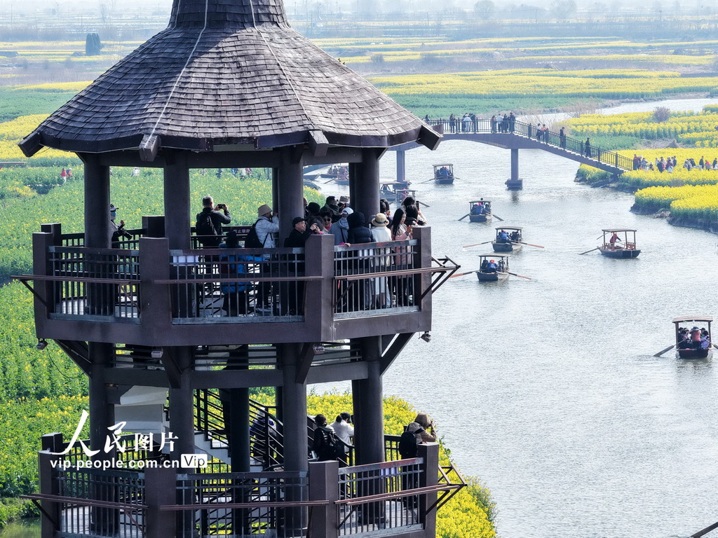 江苏兴化：千垛景区油菜花绽放【5】