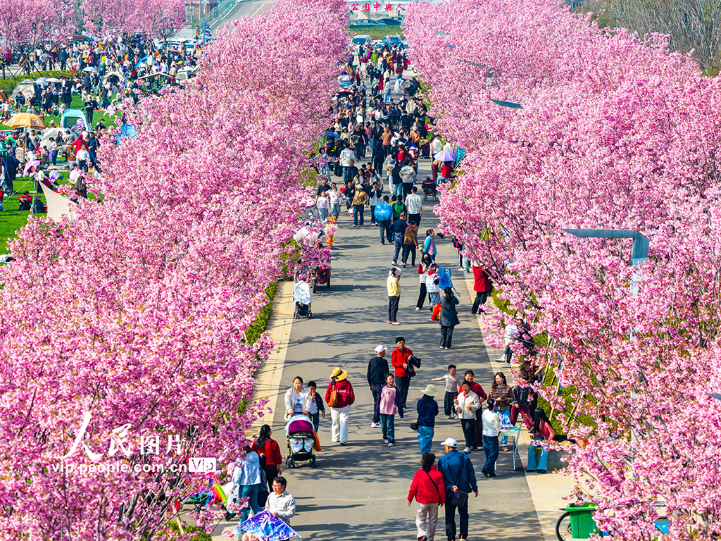 湖北黄石：休闲游玩 乐享春光