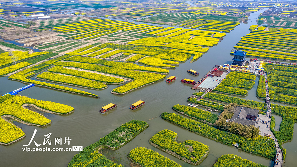 江苏兴化：千垛花海引客来【3】