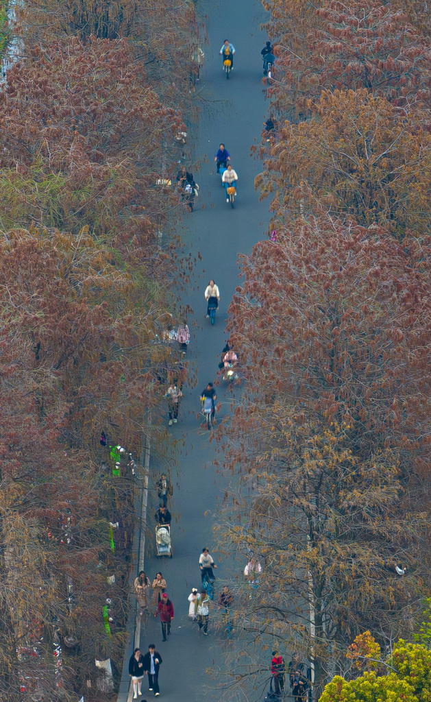市民在武汉市东湖绿道锻炼（3月22日摄，无人机照片）。新华社记者 肖艺九 摄