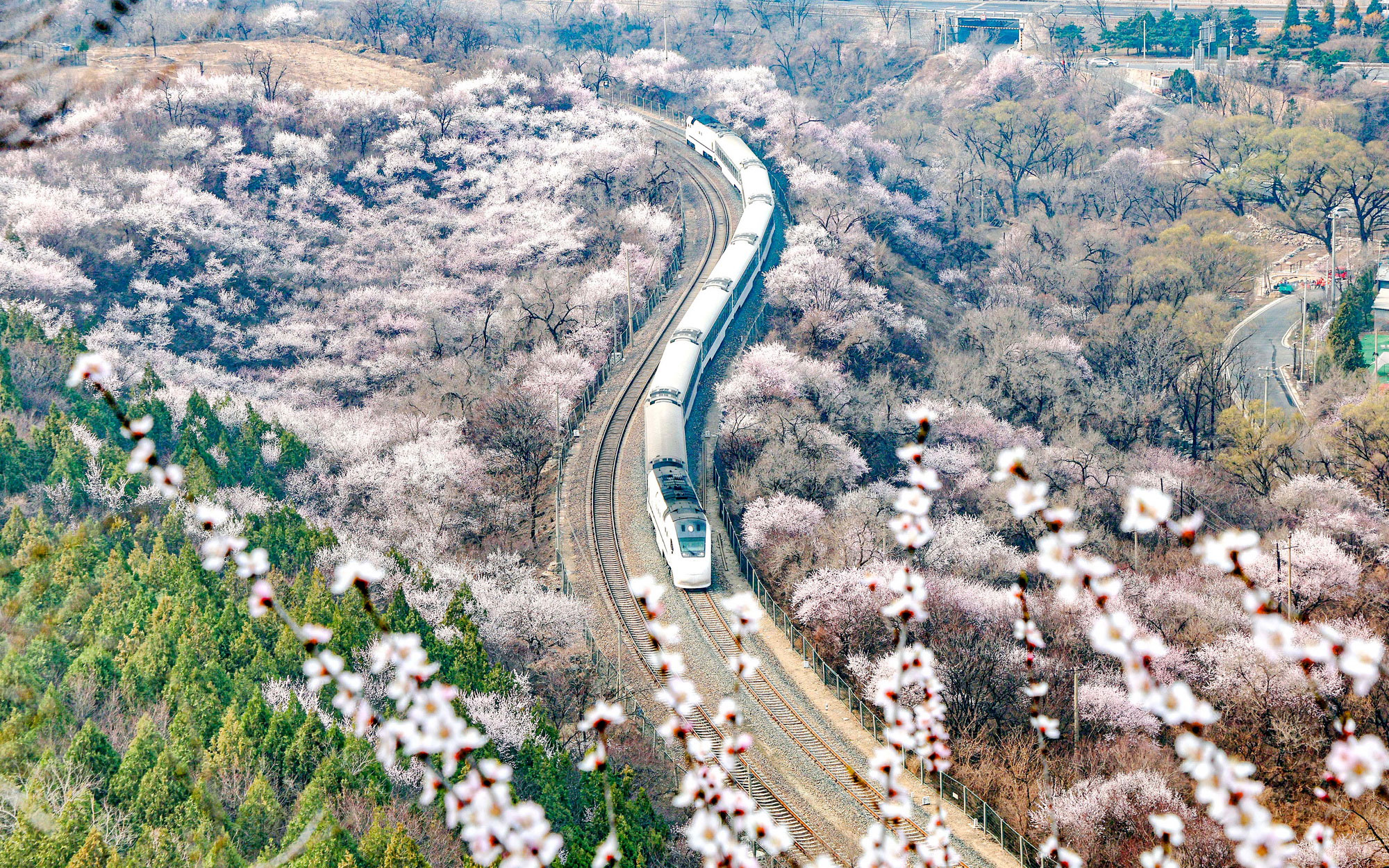 北京：開往春天的列車