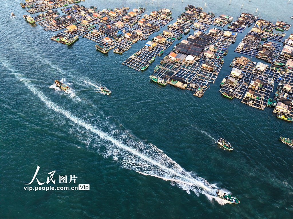 海南陵水：领略特色海上疍家风情【2】