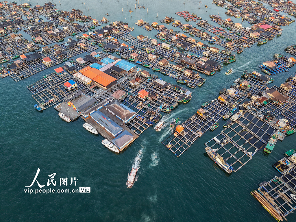 海南陵水：领略特色海上疍家风情【4】