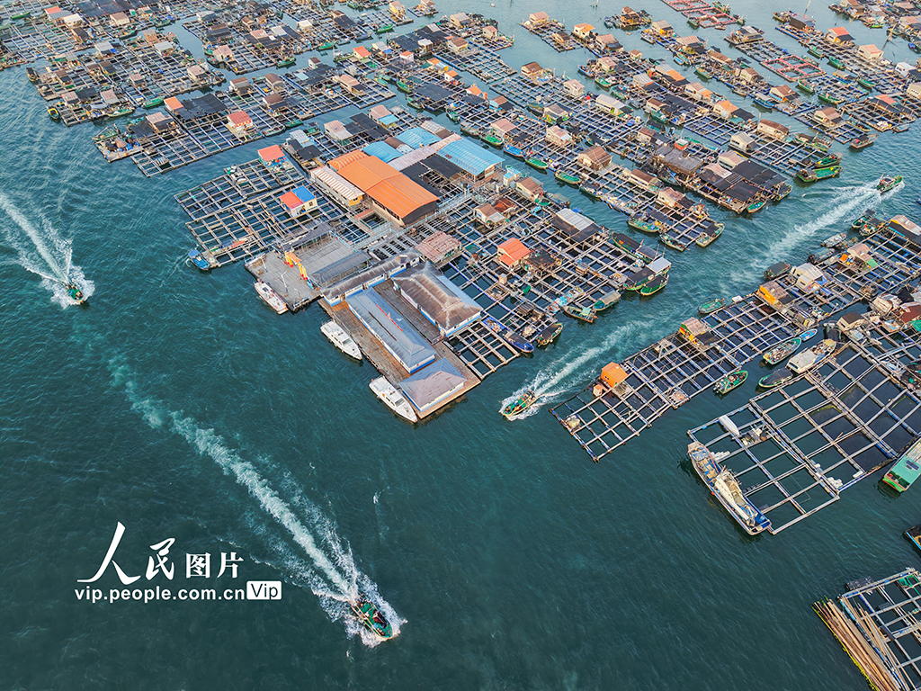 海南陵水：领略特色海上疍家风情【5】