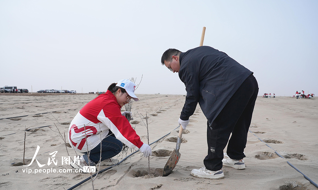 新疆阿瓦提：植树增新绿【6】