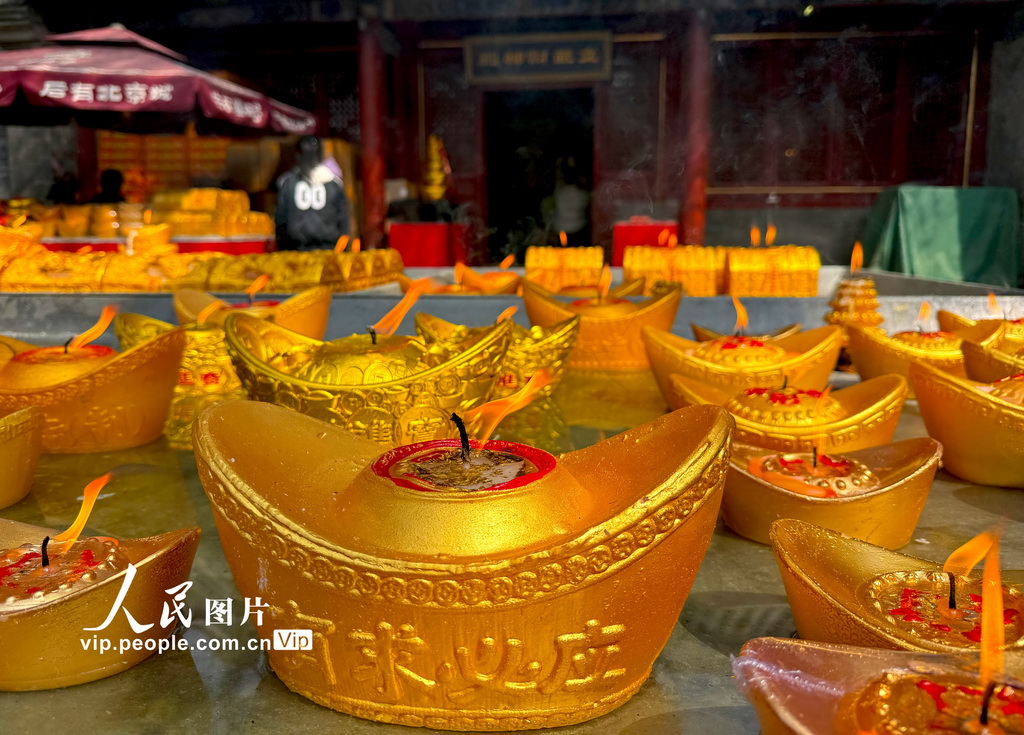 北京:几许春色潭柘寺 千年古刹觅玉兰【20】