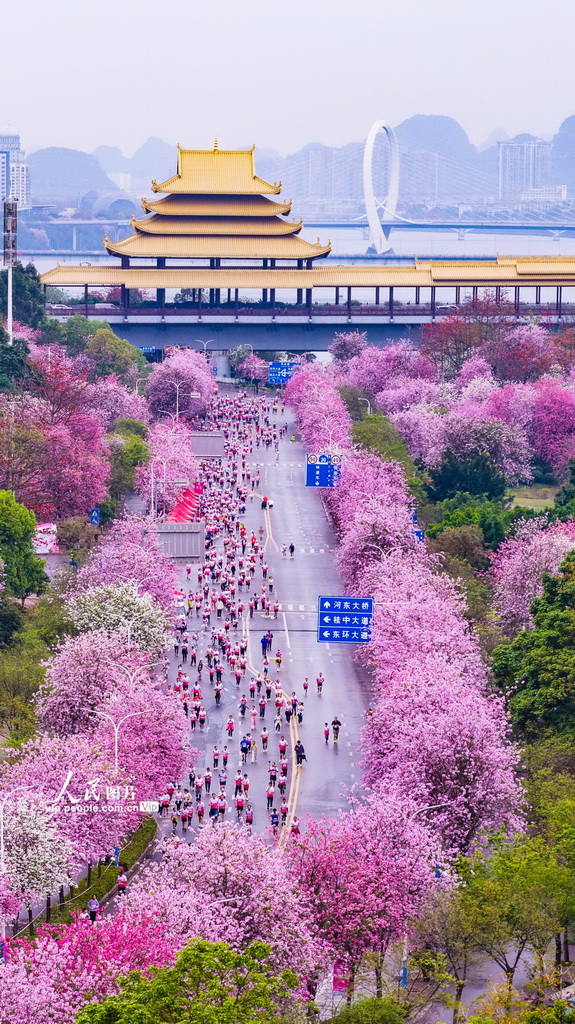 廣西柳州：花海賽道上演全民跑【5】