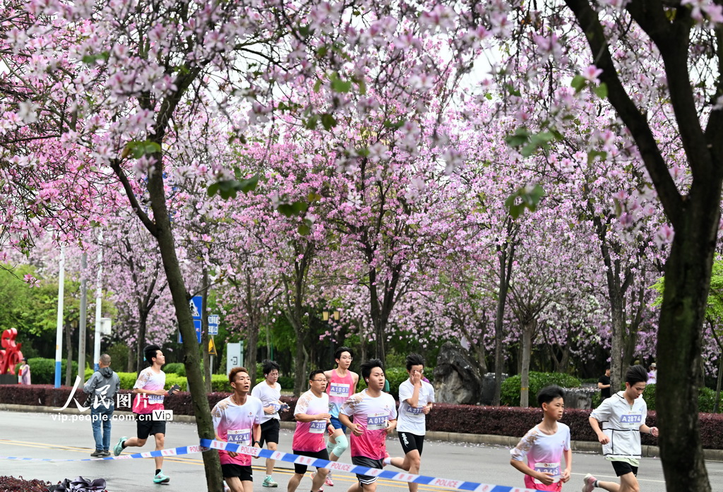 廣西柳州：花海賽道上演全民跑【2】