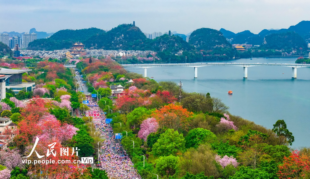 廣西柳州：花海賽道上演全民跑【6】