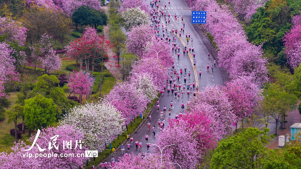 廣西柳州：花海賽道上演全民跑【7】