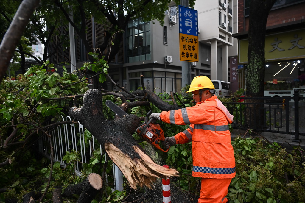 3月30日，在廣州市越秀區解放中路，工作人員清理倒伏樹木。