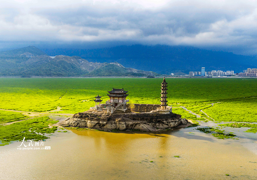 江西庐山：春染湿地如画卷【3】