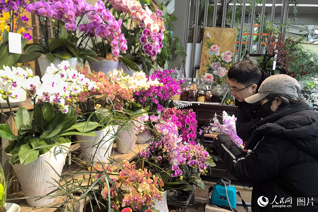 清明时节，吉林多地雪花纷飞，户外寒意袭人。而在松原市一处村庄的温室花园里，却是暖意融融、鲜花盛开，吸引了不少市民前来赏花选购。各色花卉争奇斗艳，市民徜徉其中，在芬芳中感受别样的春意。随着乡村温室经济持续升温，“赏花+购花”不仅丰富了市民休闲生活，也成为带动村庄增收、助力乡村振兴的“花样引擎”。人民网记者 王海跃摄