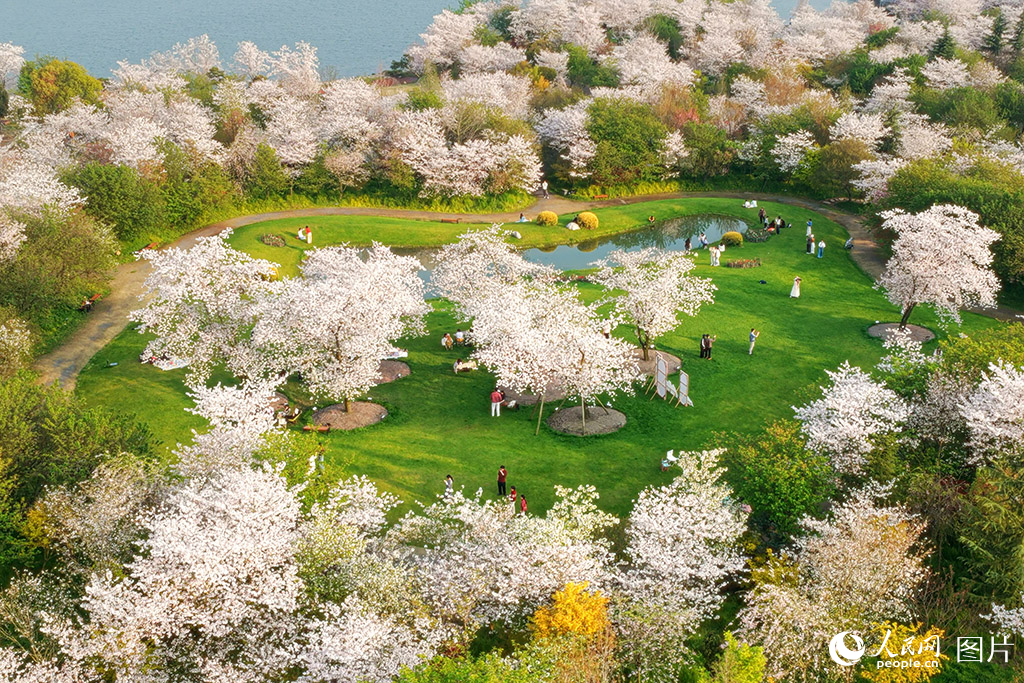 2026年3月22日，湖北荆州浅山森林美术园内，游客踏春赏景，漫步花海，感受春日生机。人民网记者 王郭骥摄
