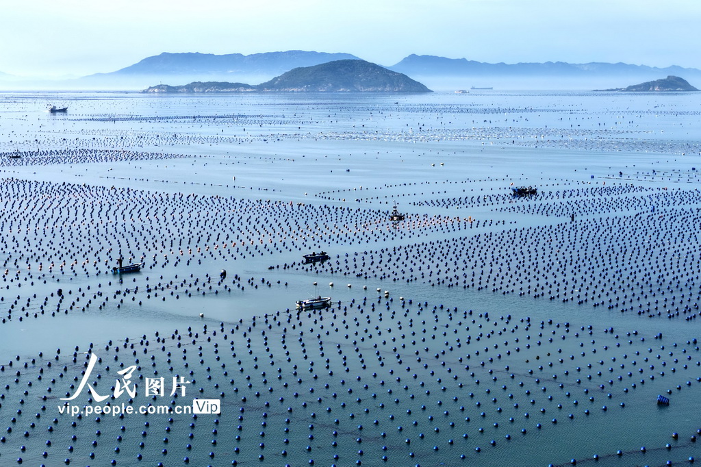 福建连江:碧波耕耘【3】