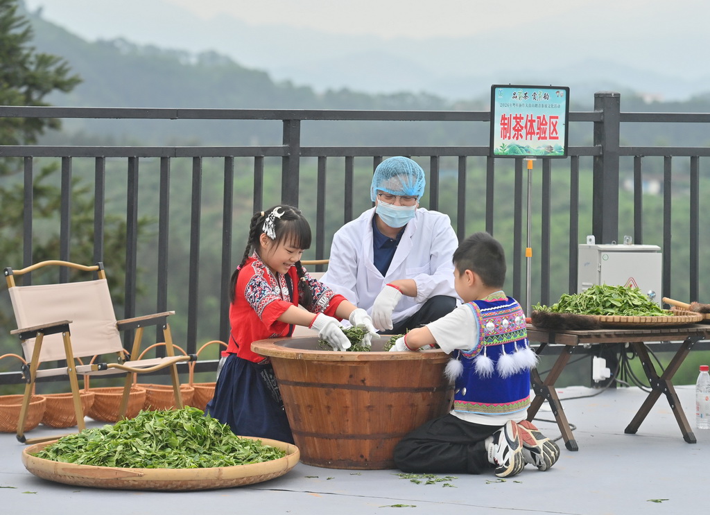 4月12日,在广西融水苗族自治县水融香粤桂协作现代农业产业园,小朋友在茶山上体验制茶。