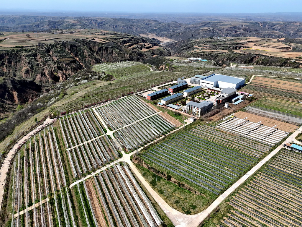 4月10日拍摄的延安洛川苹果试验示范站科技小院（无人机照片）。