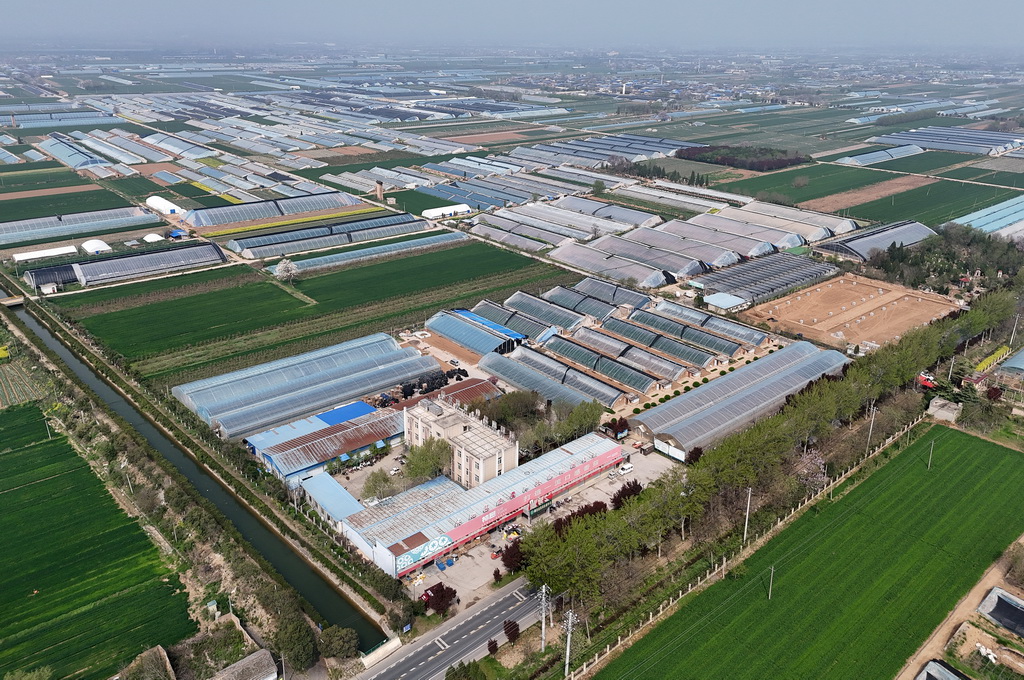 4月9日拍摄的陕西泾阳蔬菜科技小院（无人机照片）。