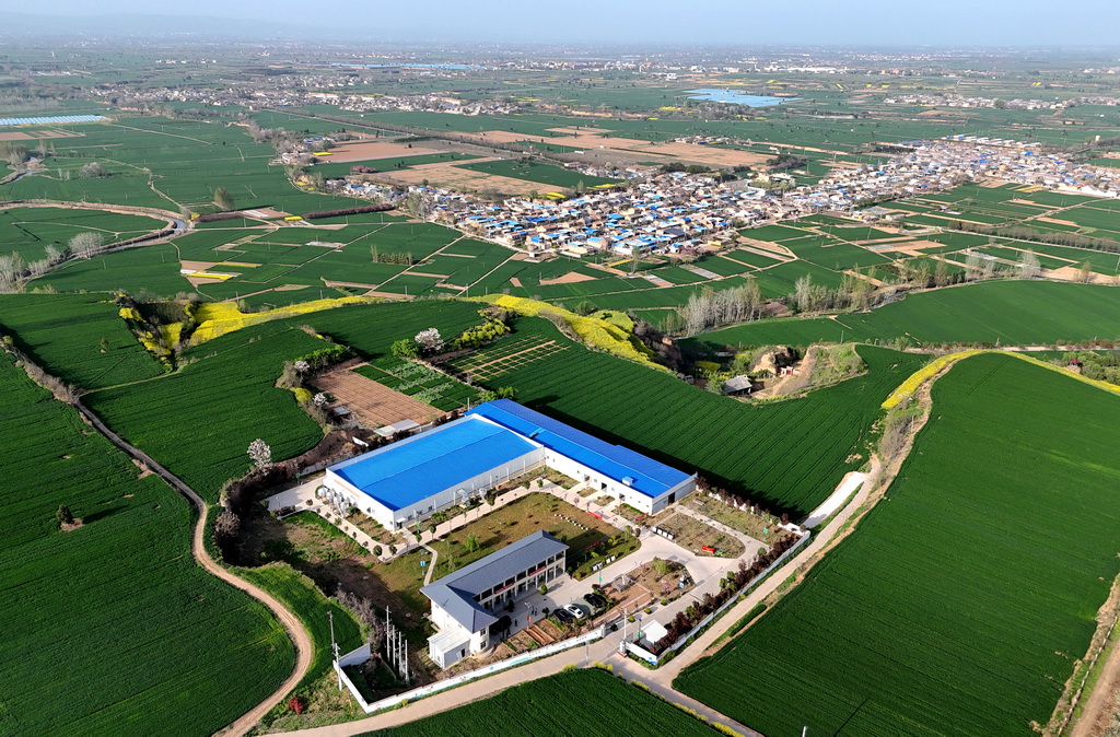 4月9日拍摄的陕西武功家禽科技小院（无人机照片）。