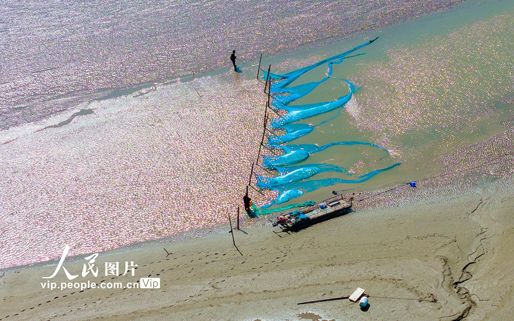 江苏东台：海湾捕鳗场呈现靓丽风景【2】