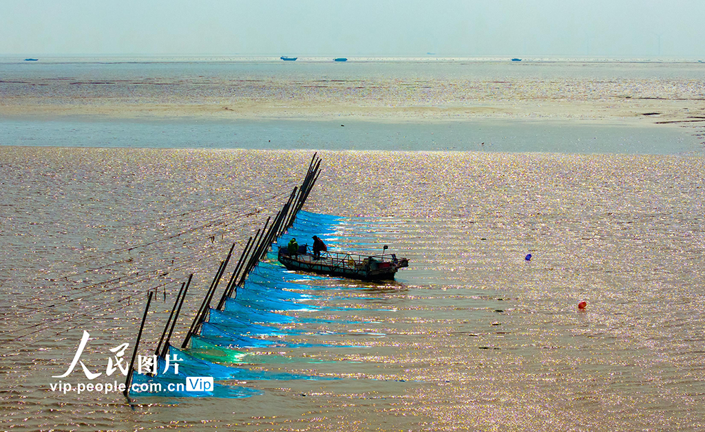 江苏东台：海湾捕鳗场呈现靓丽风景【6】