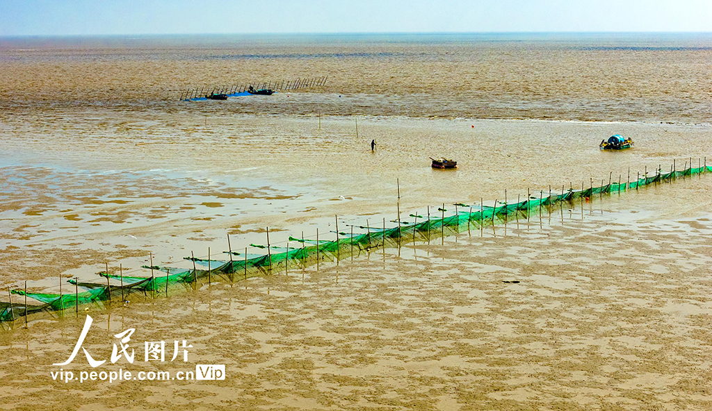 江苏东台：海湾捕鳗场呈现靓丽风景【7】