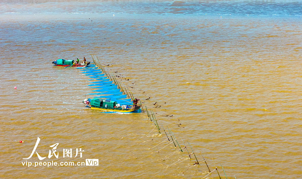 江苏东台：海湾捕鳗场呈现靓丽风景【8】
