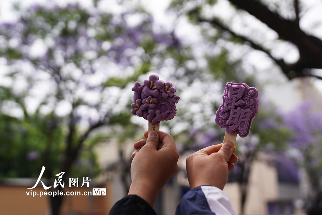 雲南昆明：藍花楹盛放扮靚城市【2】