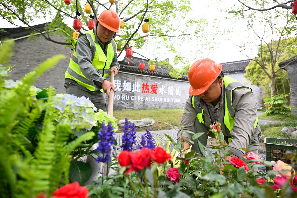 4月28日，参赛队伍在如皋水绘园风景区营造花境作品。