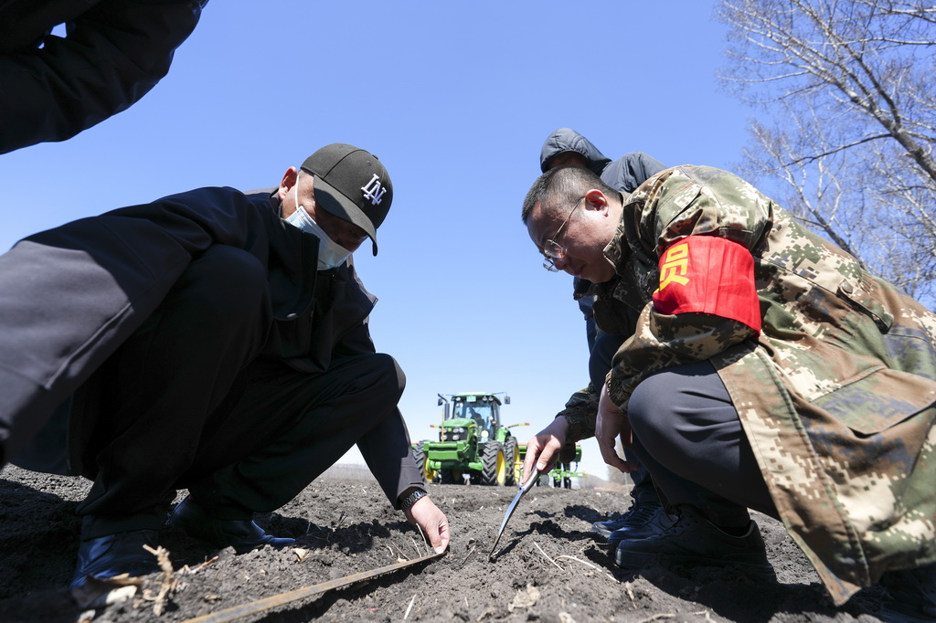 4月28日，在北大荒集团黑龙江友谊农场有限公司第四管理区，农技人员按照种植规程要求检查播种质量。