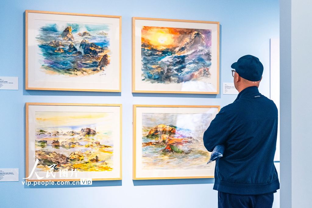 第七届海外华人艺术家文化精品展（苏州）启幕【2】