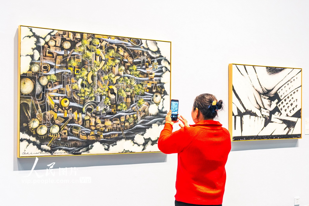 第七屆海外華人藝術家文化精品展（蘇州）啟幕【5】