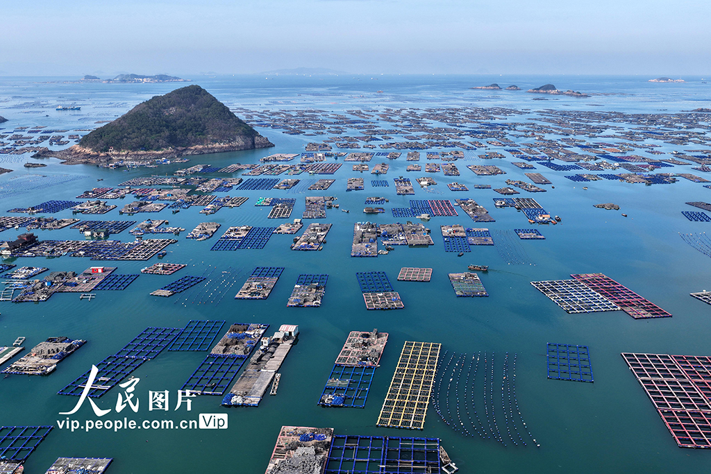 福建连江：海上鲍鱼养殖场