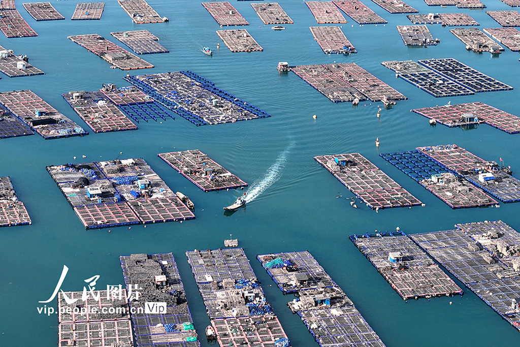 福建连江：海上鲍鱼养殖场【3】