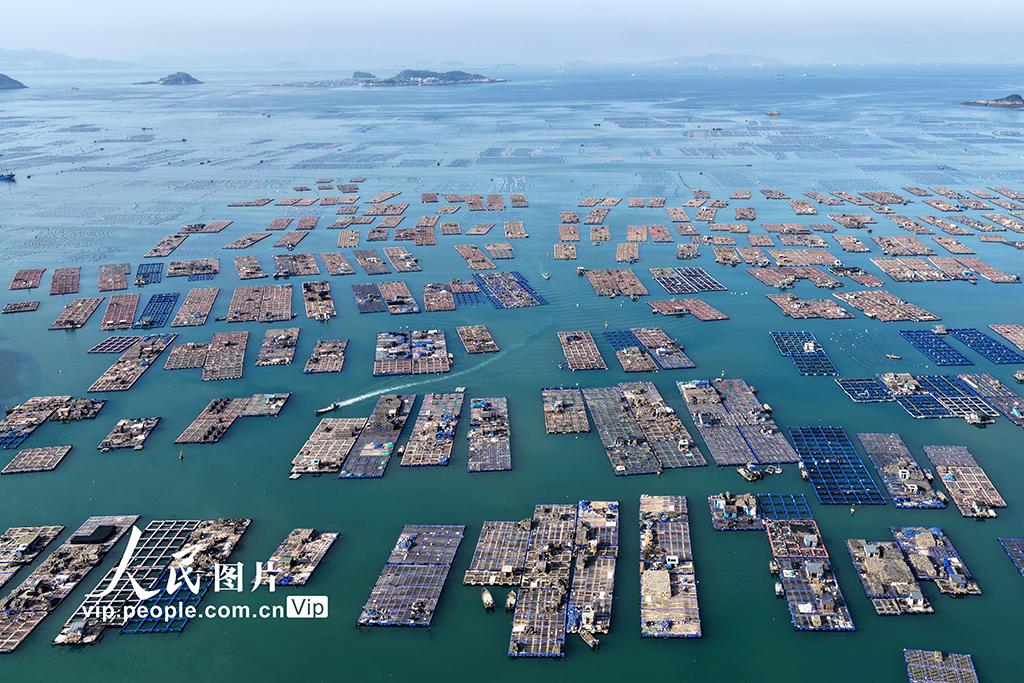 福建连江：海上鲍鱼养殖场【4】