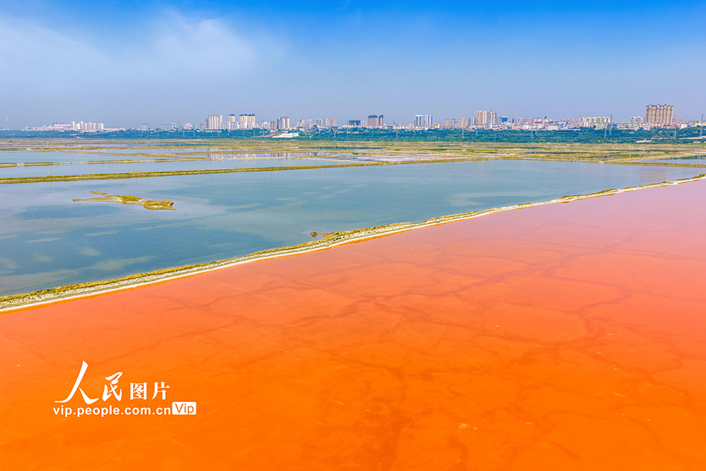山西运城：七彩盐湖景如画【5】