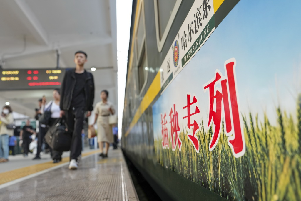 5月13日，在哈爾濱東站站台，乘客准備搭乘K5153次“插秧專列”出行。