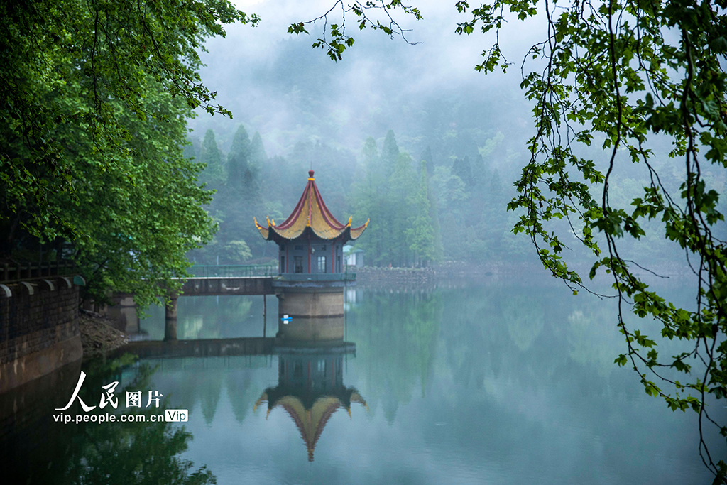 江西庐山：云海景观美如画【2】