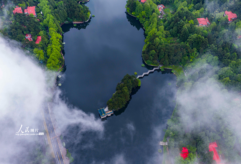 江西庐山：云海景观美如画【5】