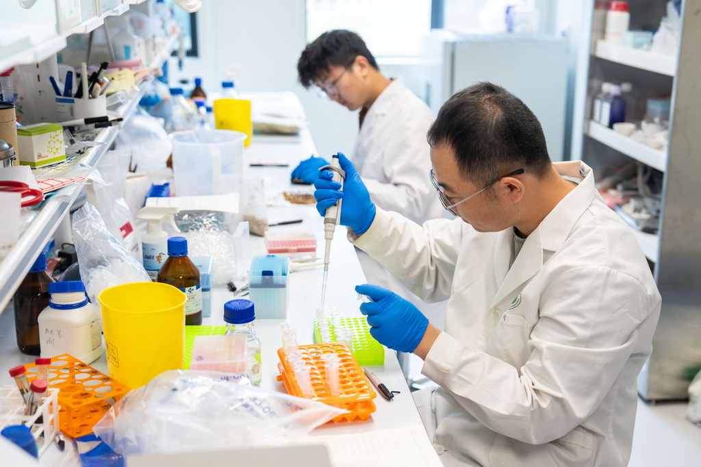 5月19日，杂交水稻全国重点实验室科研人员在进行杂交水稻培养实验。新华社记者 陈思汗 摄