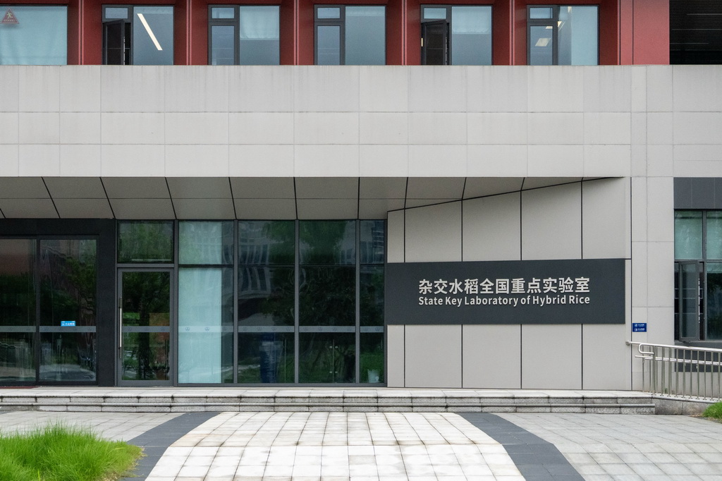 这是5月20日在湖南长沙拍摄的杂交水稻全国重点实验室。新华社记者 陈思汗 摄
