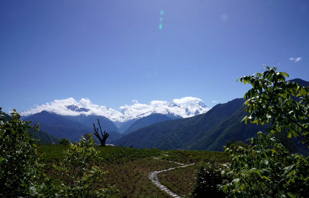 这是5月19日在泸定县德威镇海子村古鲁海景区拍摄的景致,远处是贡嘎群峰。新华社记者 赵宇思 摄