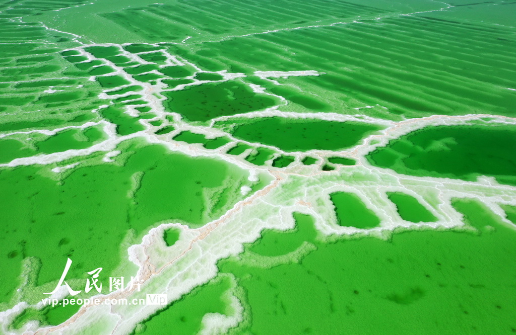 青海格尔木：察尔汗盐湖风景如画【3】