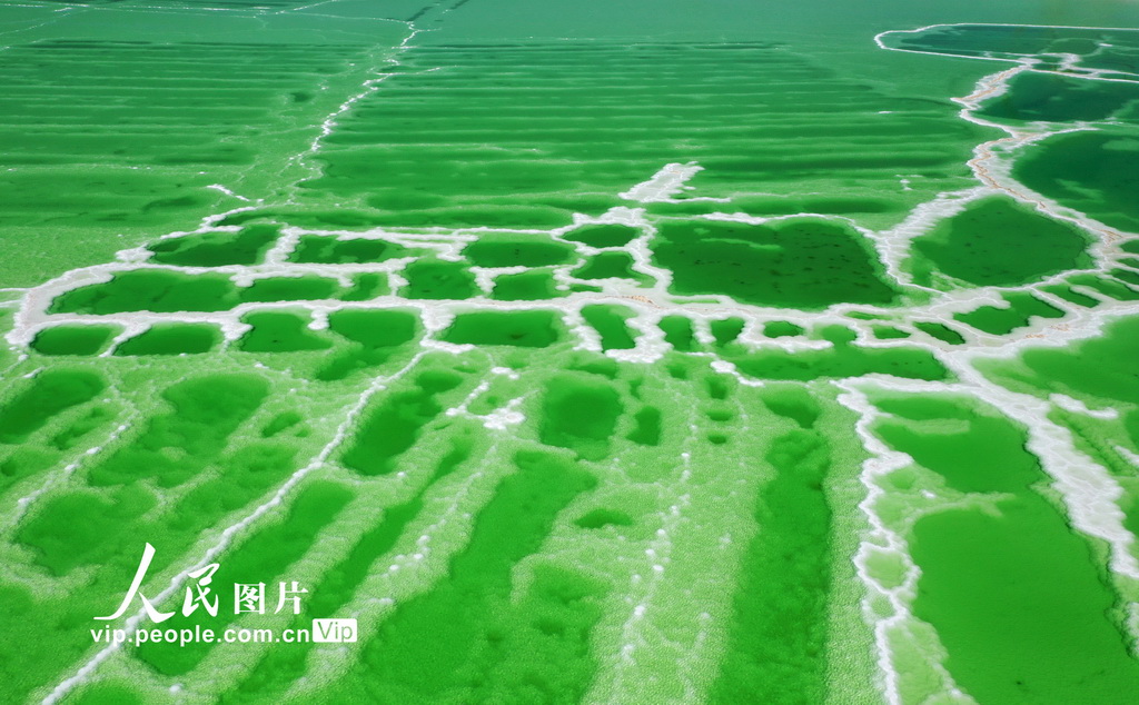 青海格尔木：察尔汗盐湖风景如画【4】