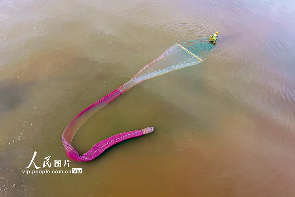 山西运城：捕捞盐水虫【4】